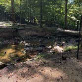 Review photo of Andrew's Cove Campground — Chattahoochee Oconee National Forest by Noah W., September 18, 2026