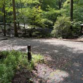 Review photo of Andrew's Cove Campground — Chattahoochee Oconee National Forest by Taylor H., August 30, 2026