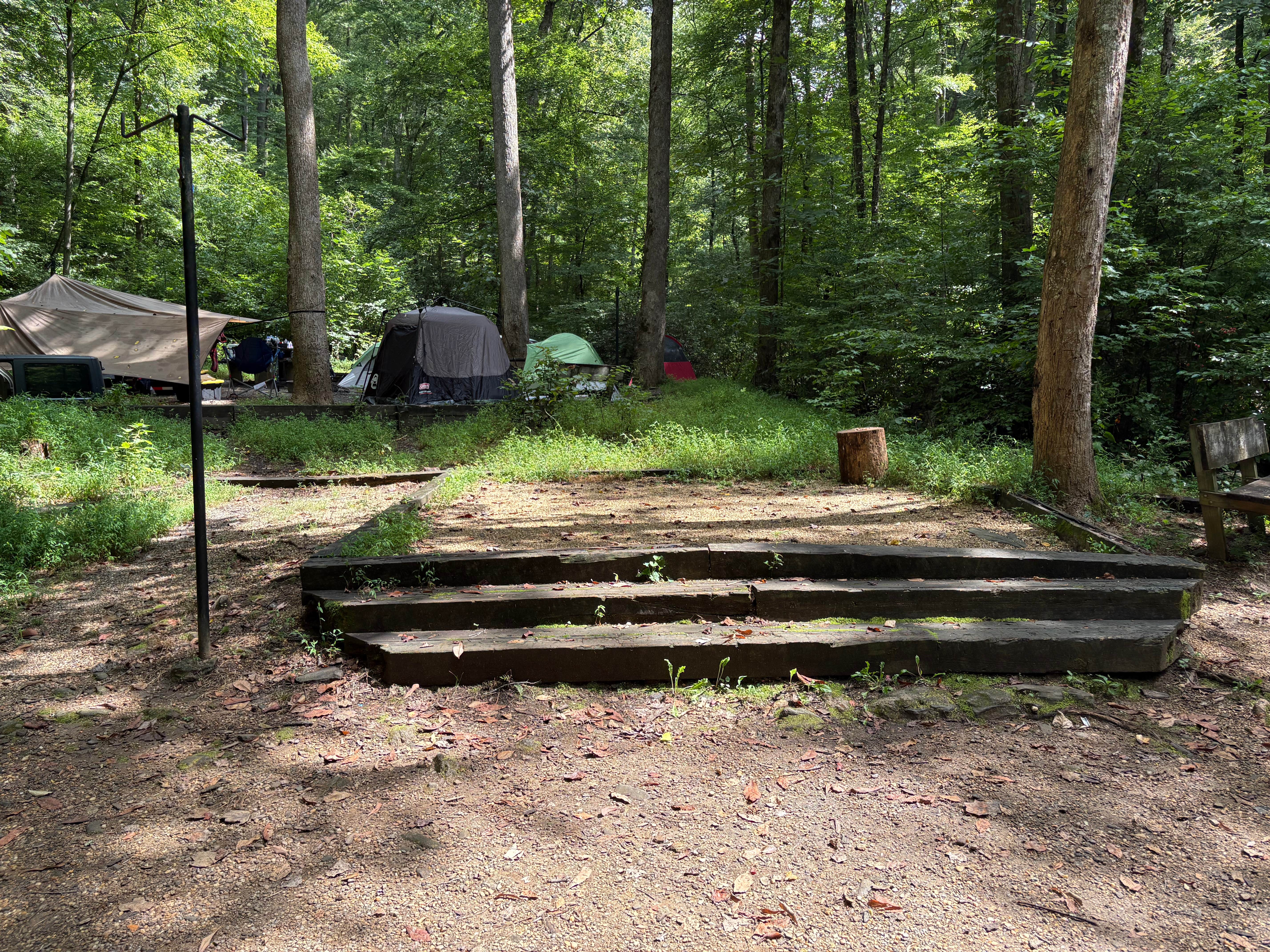 Taylor H.'s photo at Andrew's Cove Campground — Chattahoochee Oconee National Forest near Cleveland, GA
