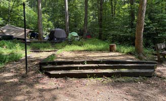 Taylor H.'s photo at Andrew's Cove Campground — Chattahoochee Oconee National Forest near Cleveland, GA