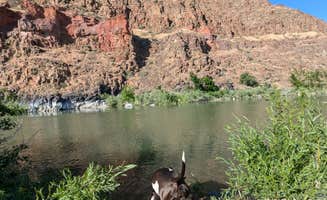 Casey B.'s photo of camping with pets at Owyhee-Dispersed near Adrian, OR