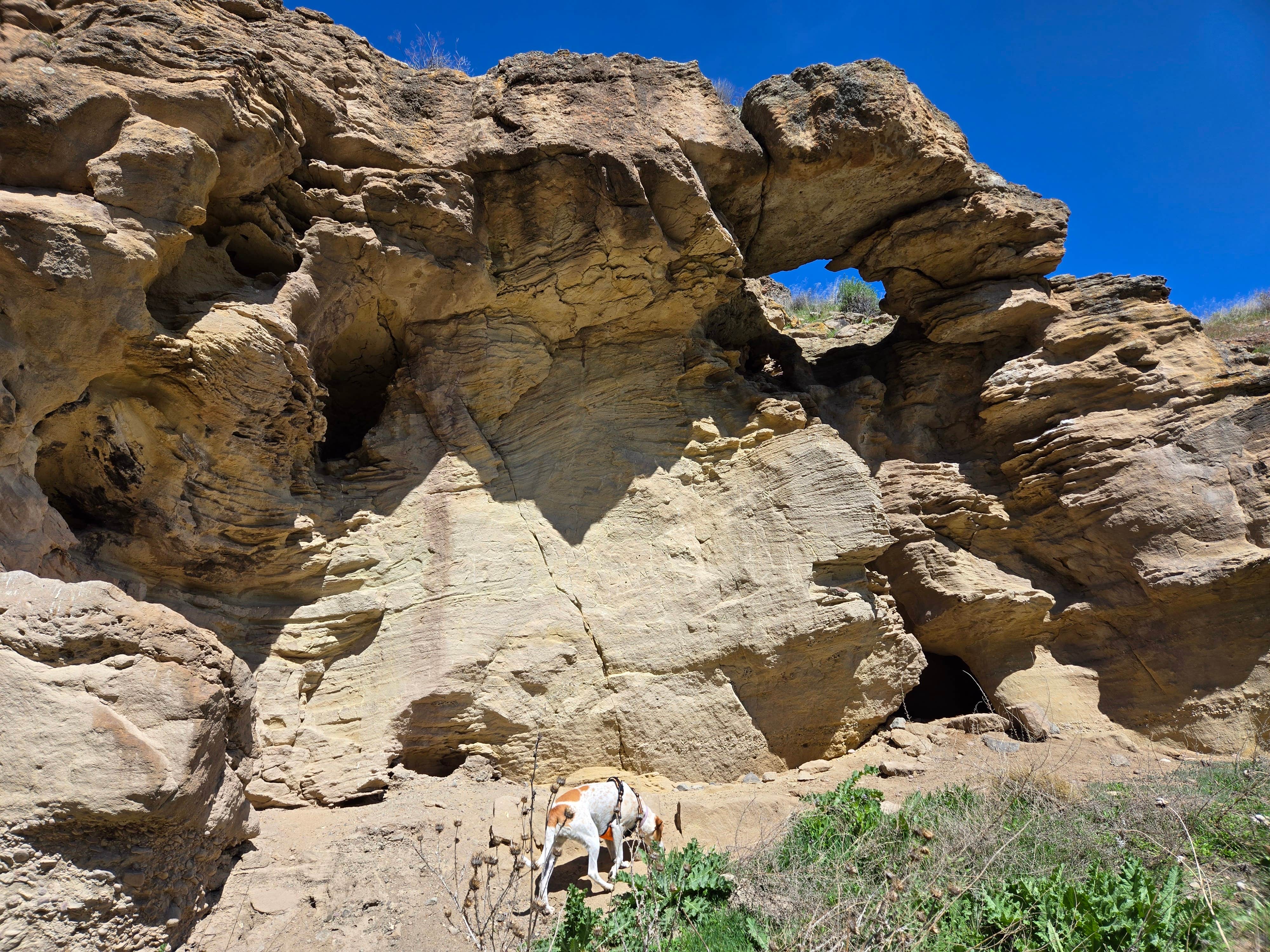 Camper-submitted photo at Owyhee-Dispersed near Adrian, OR