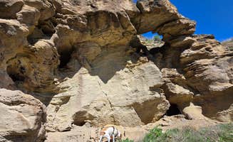 Veronica G.'s photo of camping with pets at Owyhee-Dispersed near Nyssa, OR