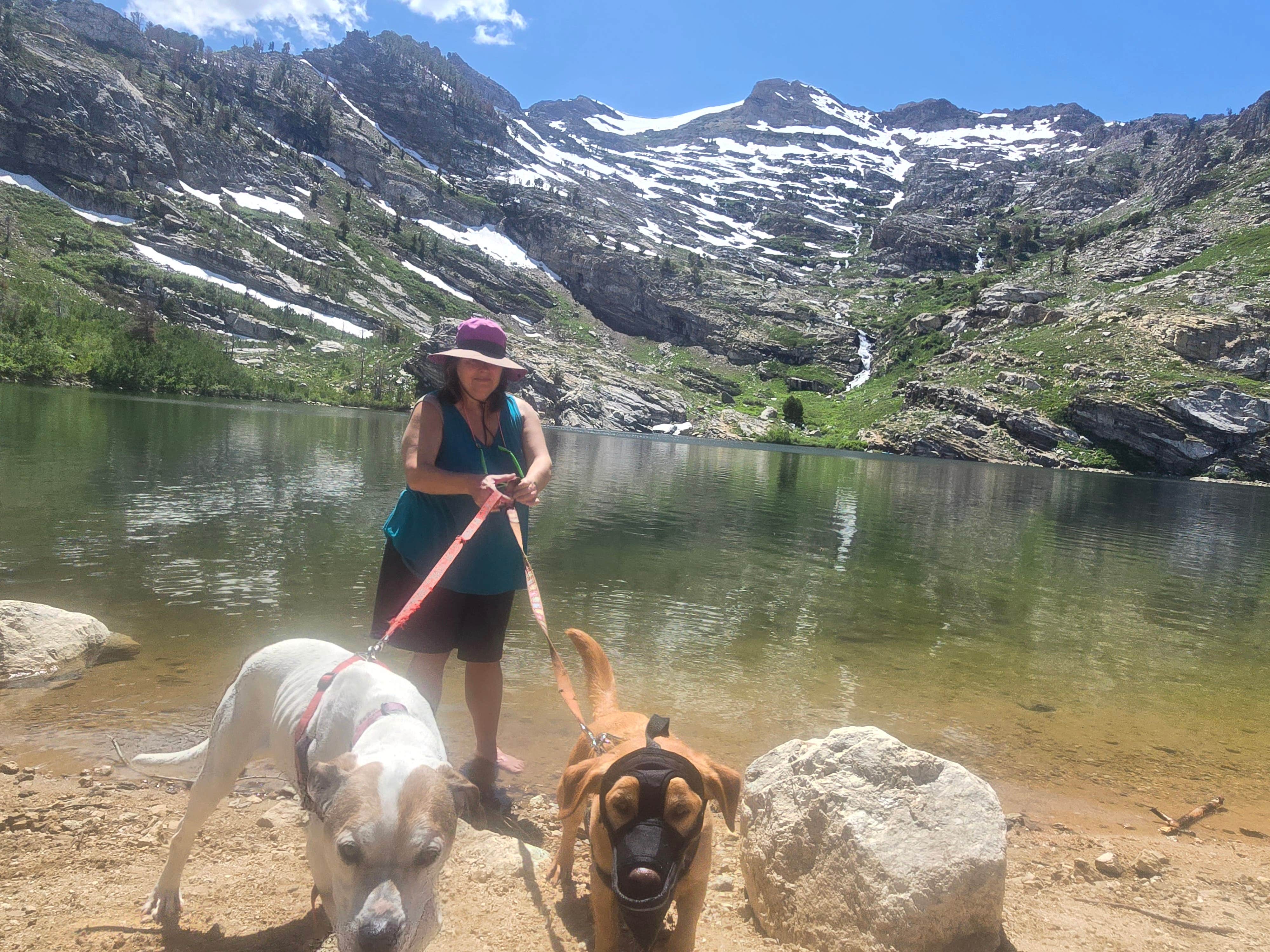 mark F.'s photo of camping with pets at Humboldt National Forest Angel Lake Campground near Deeth, NV