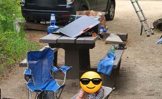 Patrick L.'s photo at Angel of Shavano Dispersed Camping on FR252B near Monarch, CO
