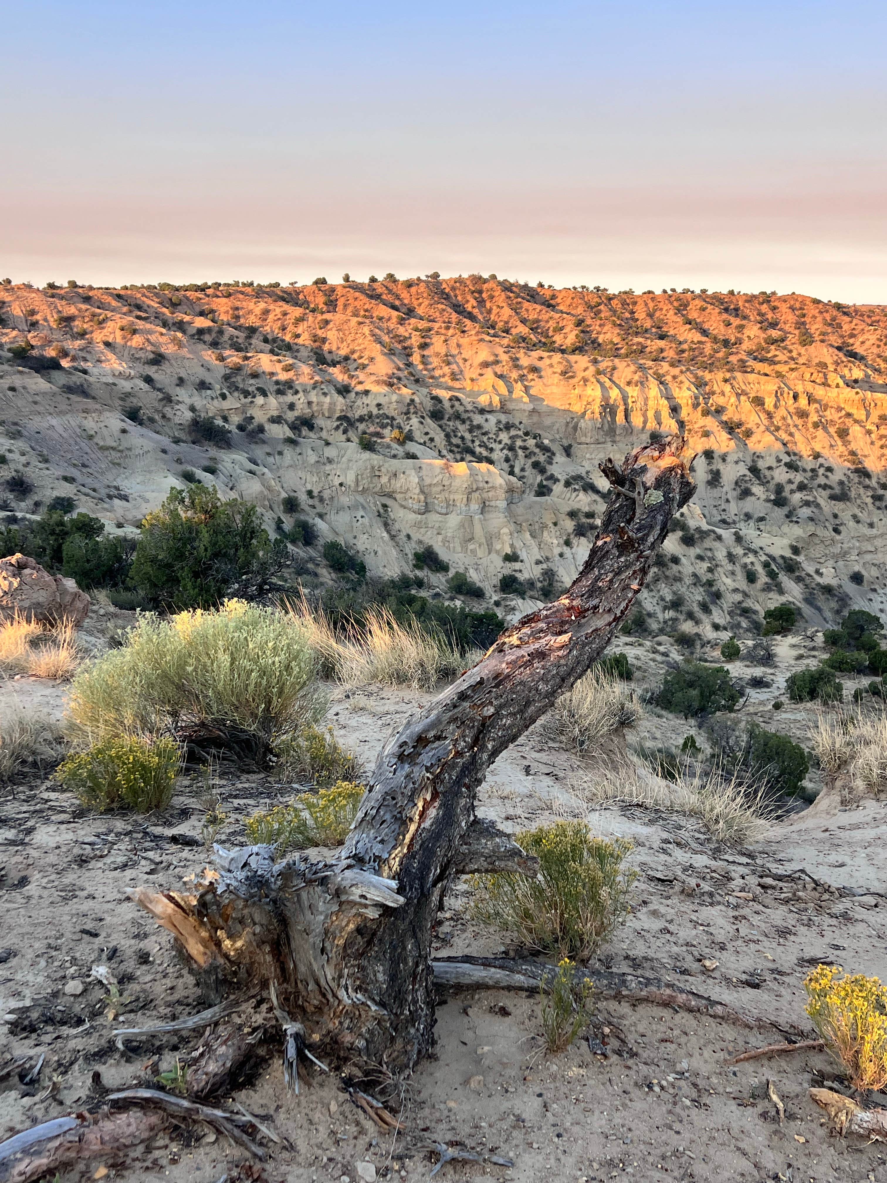 Camper-submitted photo at Angel Peak NM Badlands | Dispersed Camping near Shiprock, NM