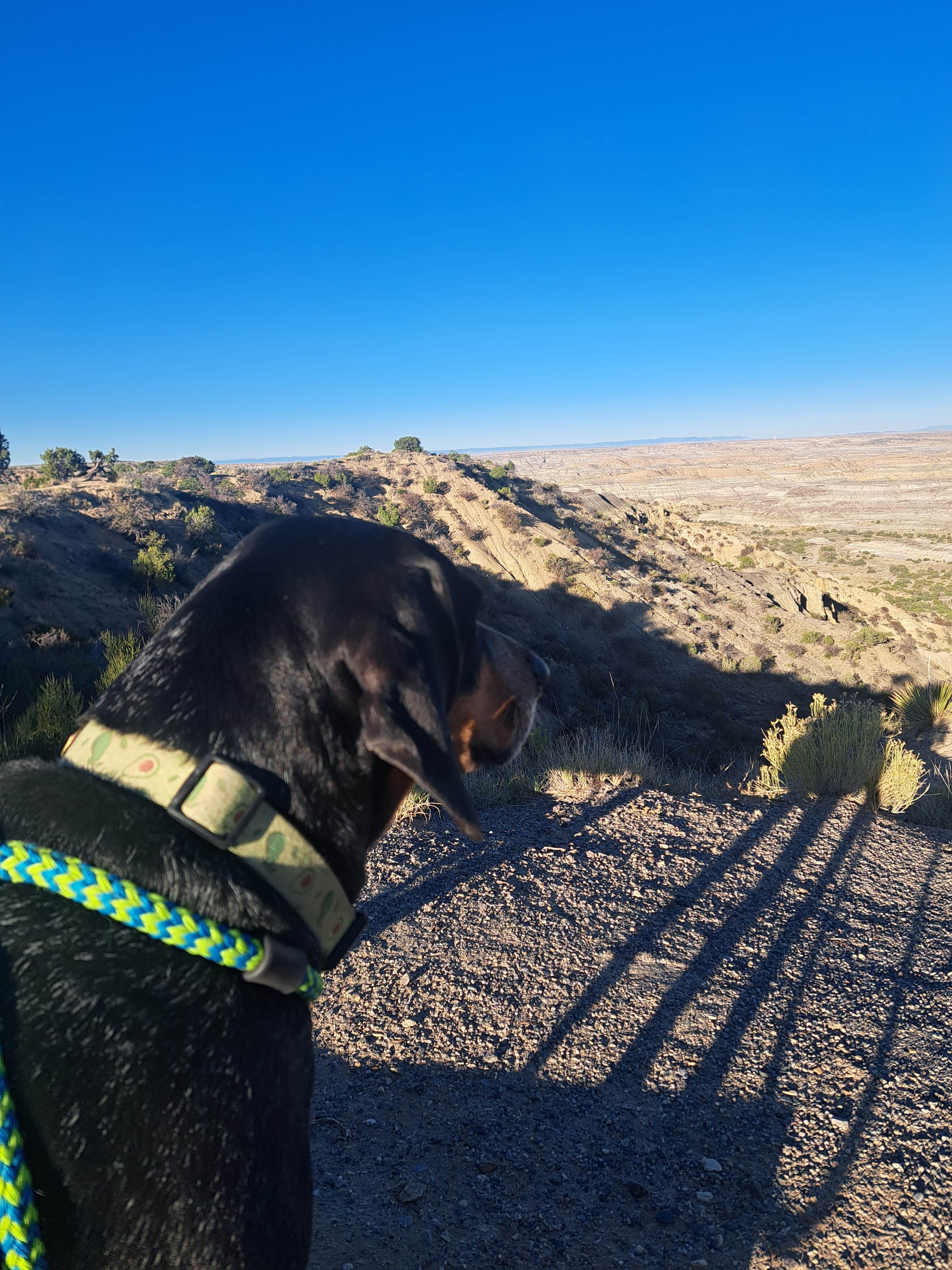 amber H.'s photo of camping with pets at Angel Peak NM Badlands | Dispersed Camping near Nageezi, NM