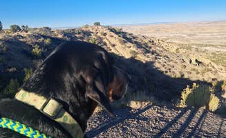 amber H.'s photo of camping with pets at Angel Peak NM Badlands | Dispersed Camping near Nageezi, NM