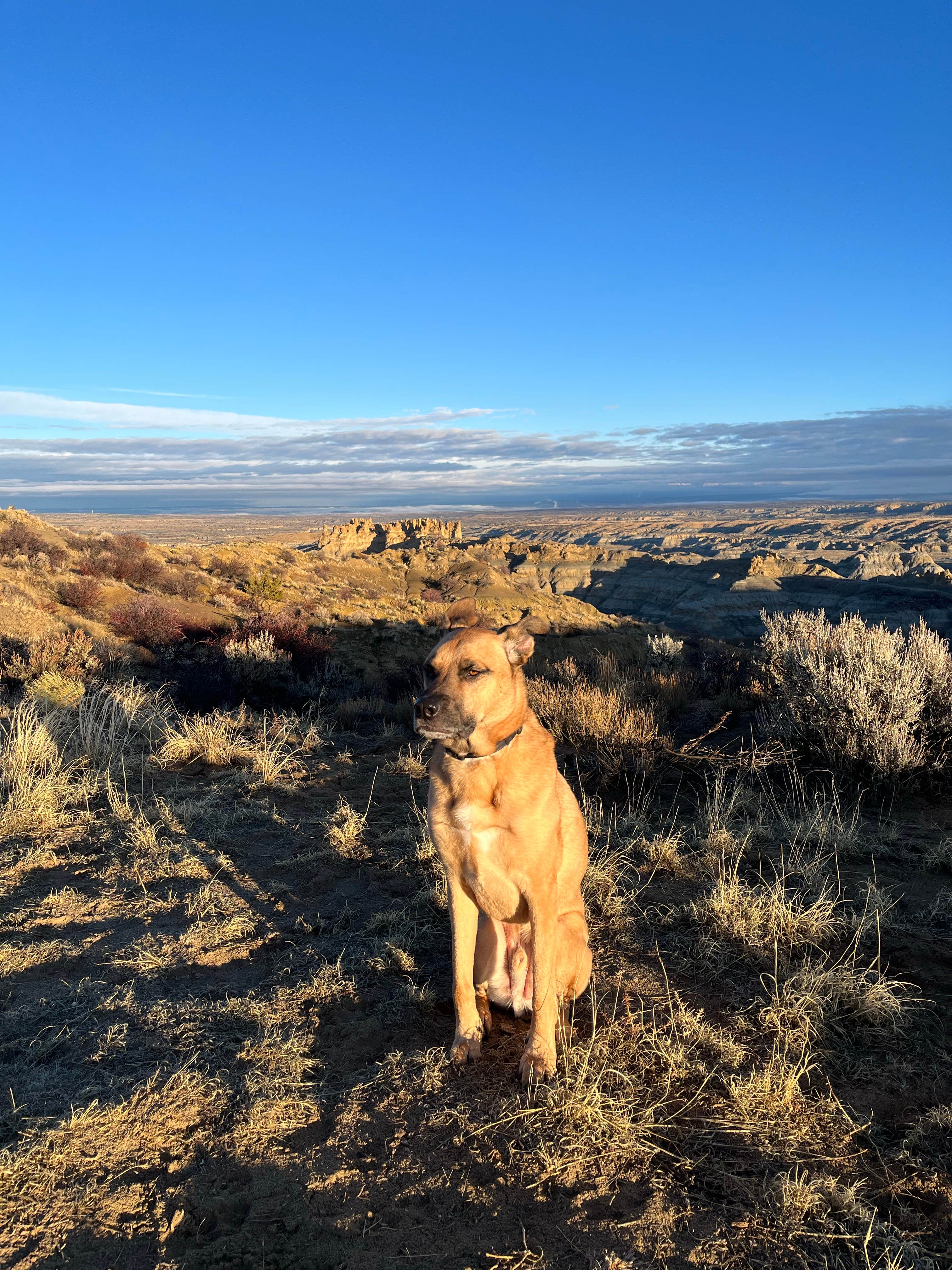 Andrew K.'s photo of a dispersed camping area at Angel Peak NM Badlands | Dispersed Camping near Shiprock, NM