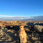 Review photo of Angel Peak NM Badlands | Dispersed Camping by Andrew K., December 23, 2023