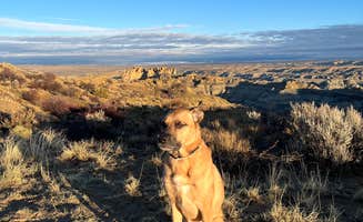 Andrew K.'s photo of camping with pets at Angel Peak NM Badlands | Dispersed Camping near Nageezi, NM
