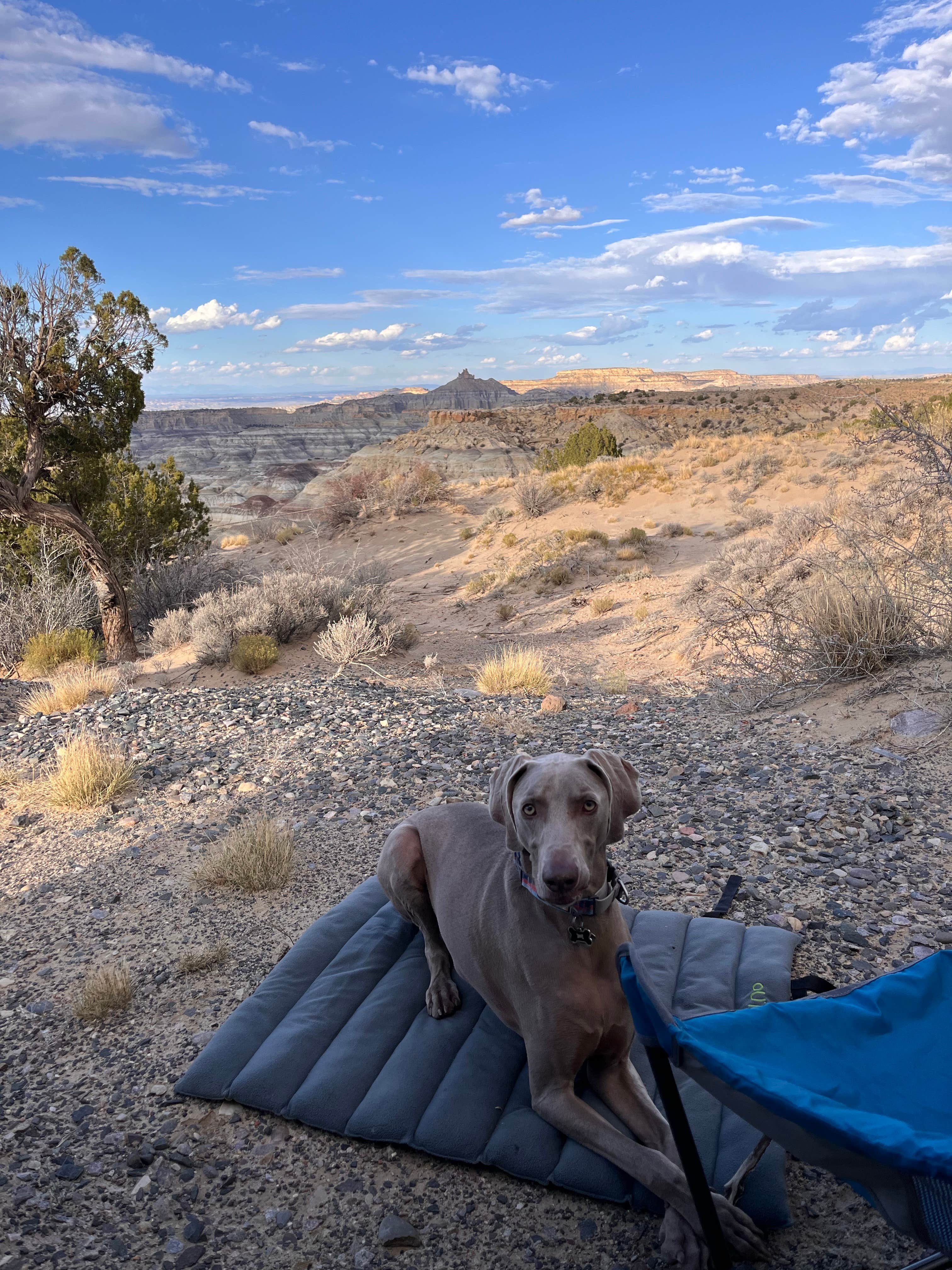 Camper-submitted photo at Angel Peak Scenic Area near Nageezi, NM