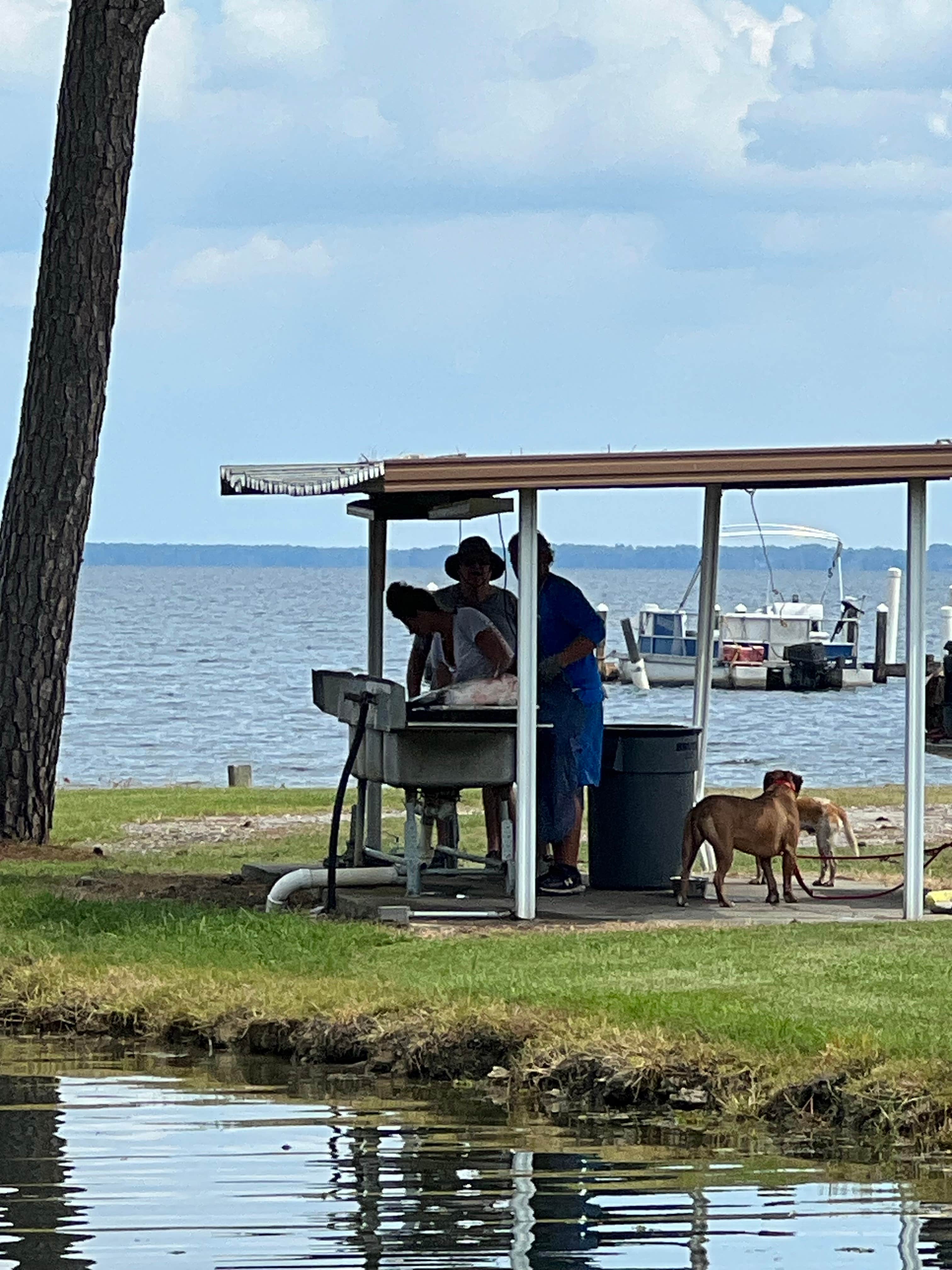 Luke A.'s photo of camping with pets at Angels Landing Campground near Summerville, SC