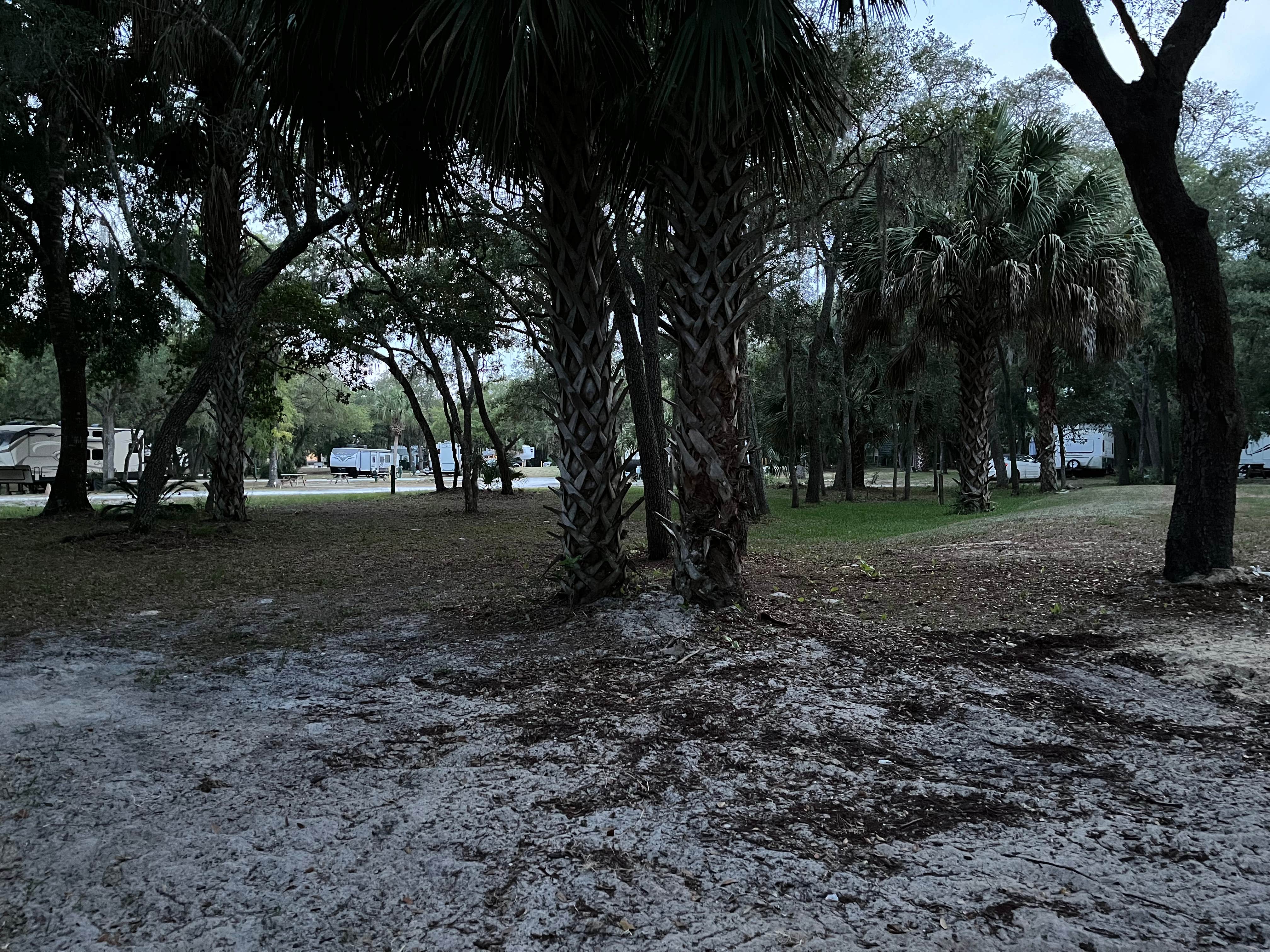 Camping near Cedar Key RV Resort: Cedar Blessings RV Park, Cedar Key, Florida