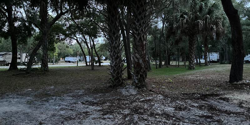 Camper submitted image from Cedar Blessings RV Park