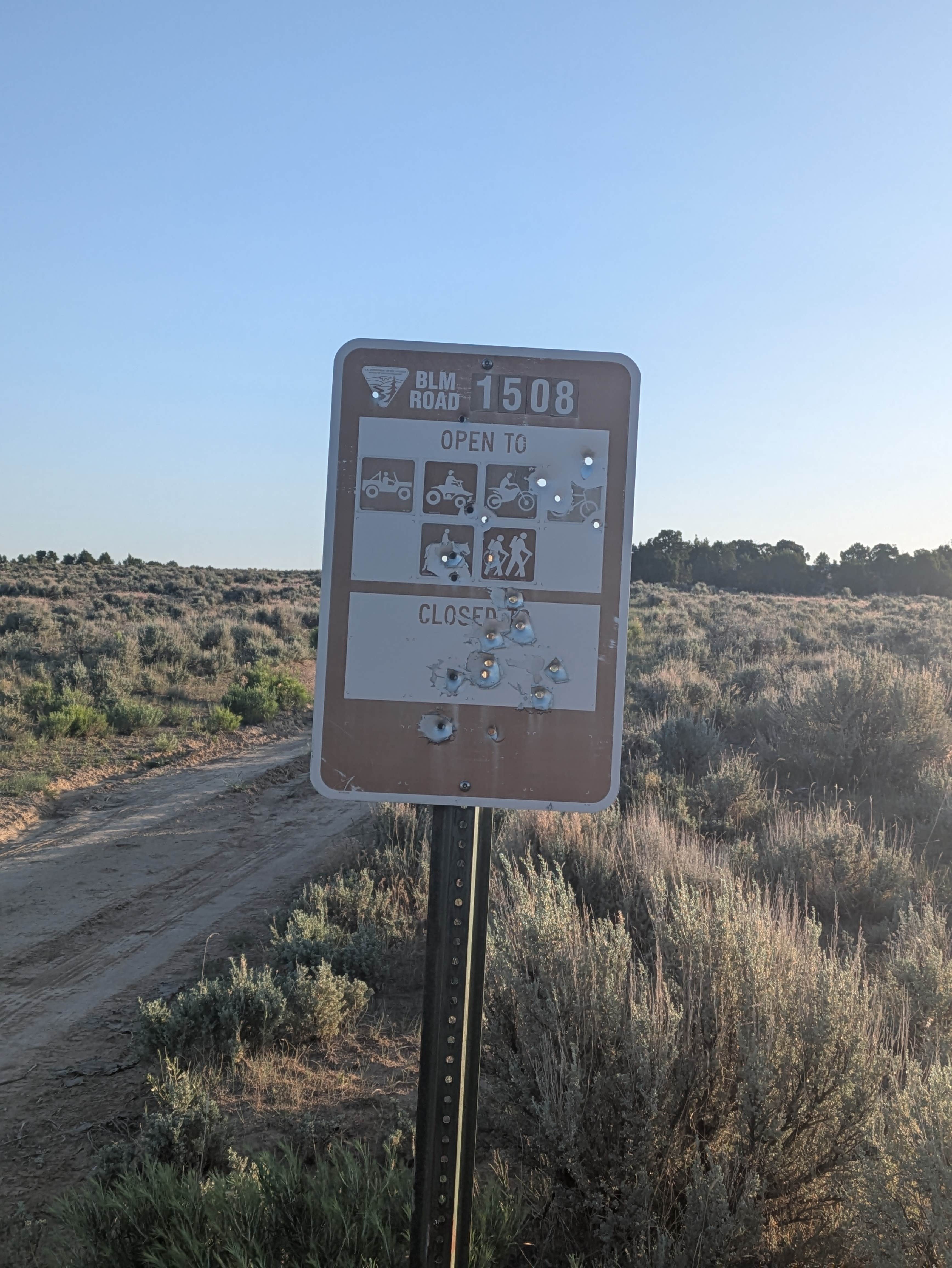 Camper submitted image from Angora Hills Dispersed Site - 2