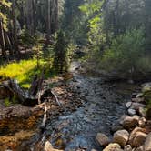 Review photo of Annett's Mono Village by Brian D., February 20, 2026