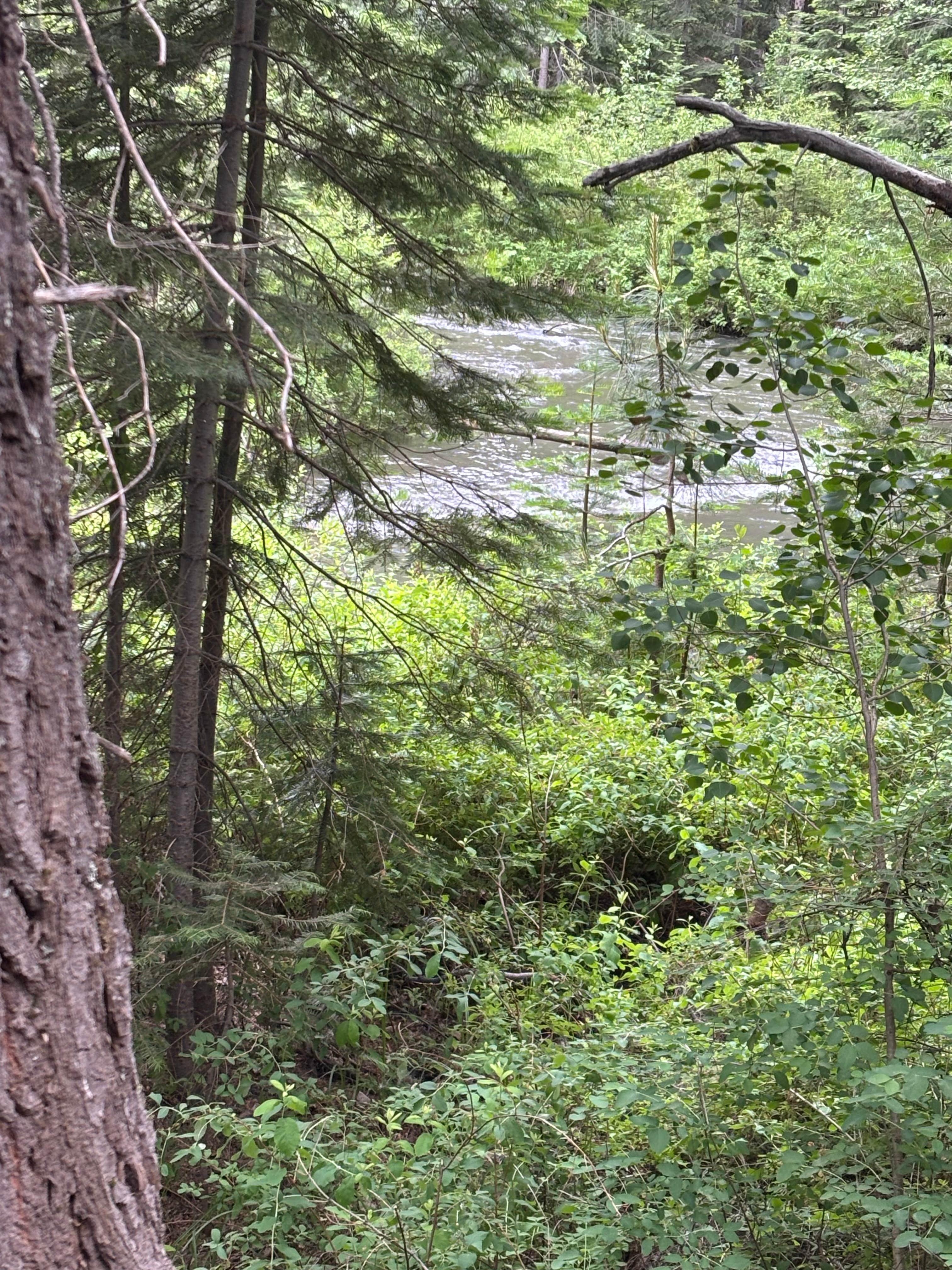 Camper-submitted photo at Annie Creek Road near Crater Lake, OR
