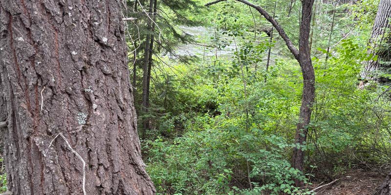 Camper submitted image from Annie Creek Road