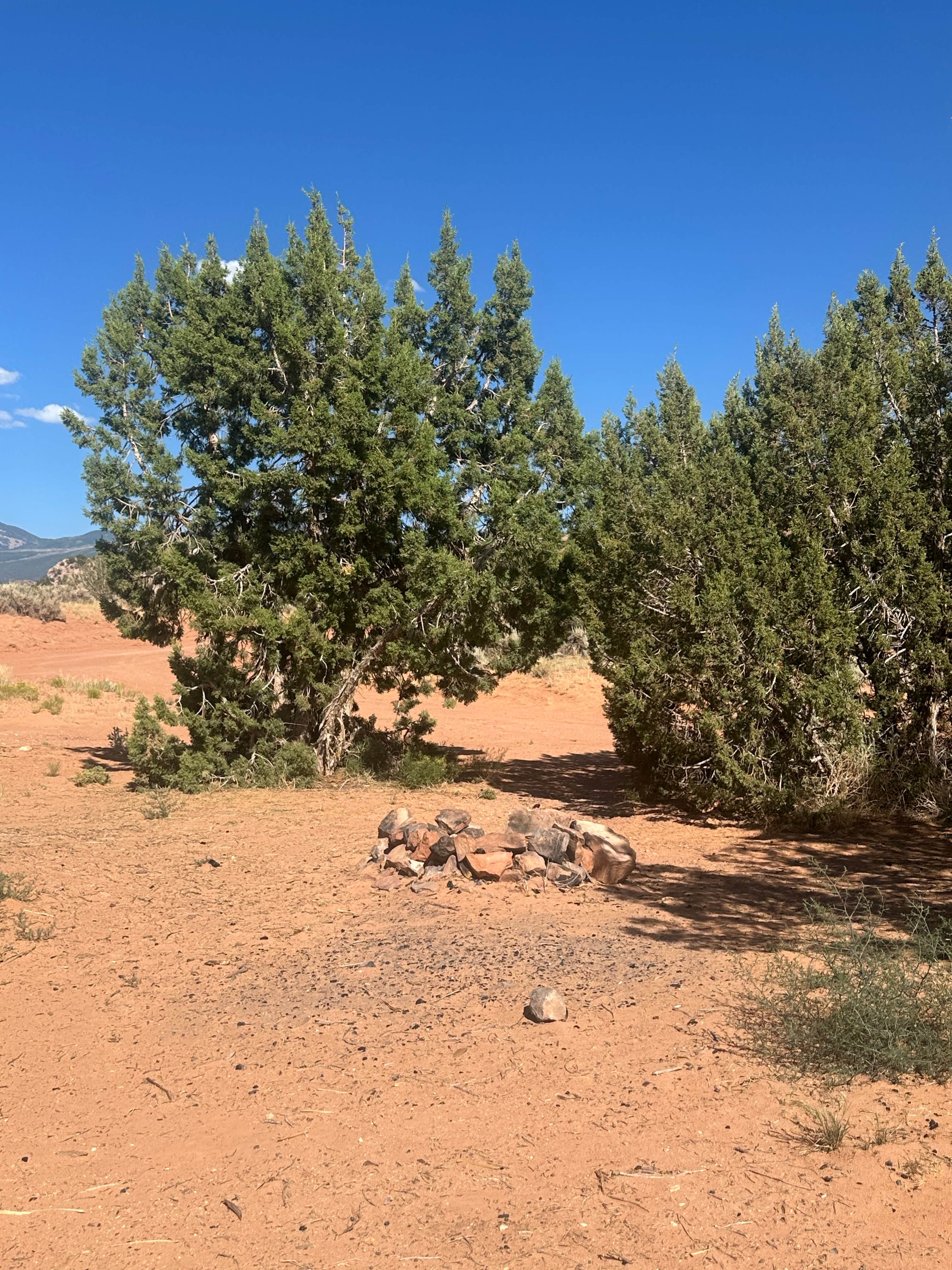 Camper-submitted photo at Another Behind the Rocks rd Dispersed Spot near La Sal, UT