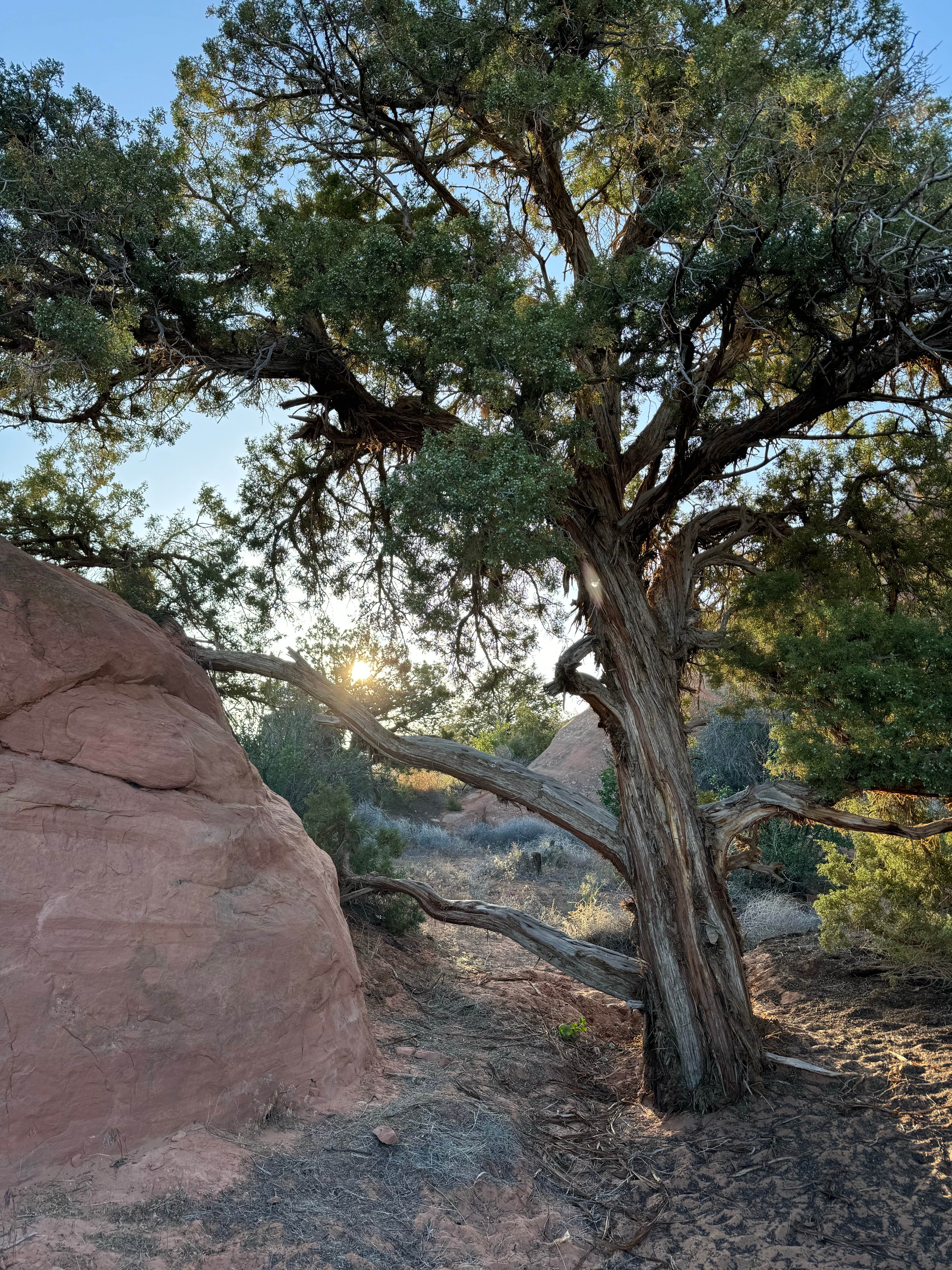 Camper-submitted photo at Another Behind the Rocks rd Dispersed Spot near La Sal, UT