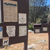 Review photo of Ant Canyon by Vidalia S., March 22, 2026