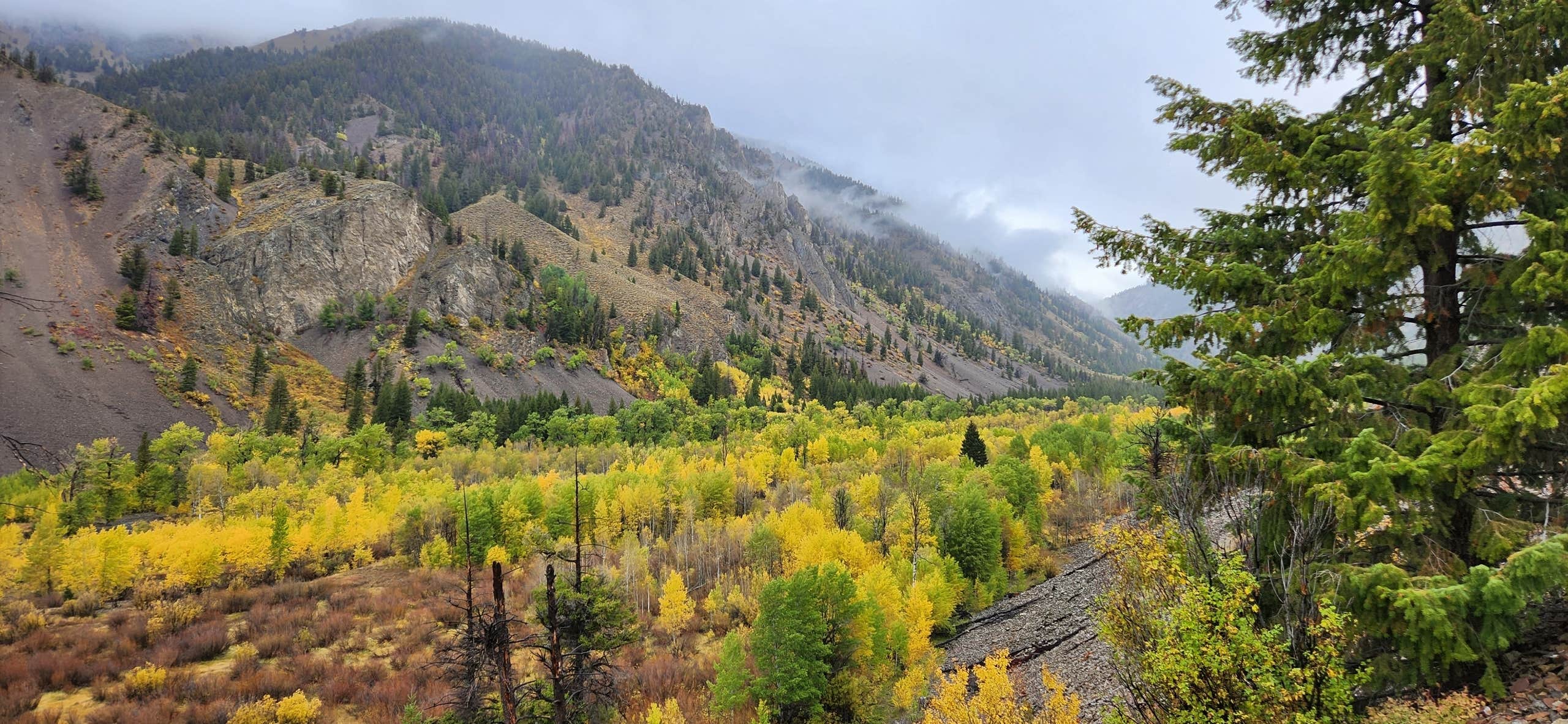Camper-submitted photo at Antelope Creek near Sun Valley, ID