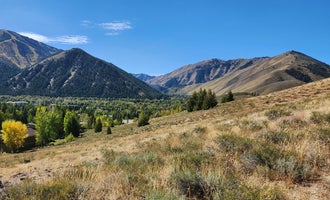 Camping near North Fork Campground - Sawtooth National Forest: Antelope Creek, Sun Valley, Idaho