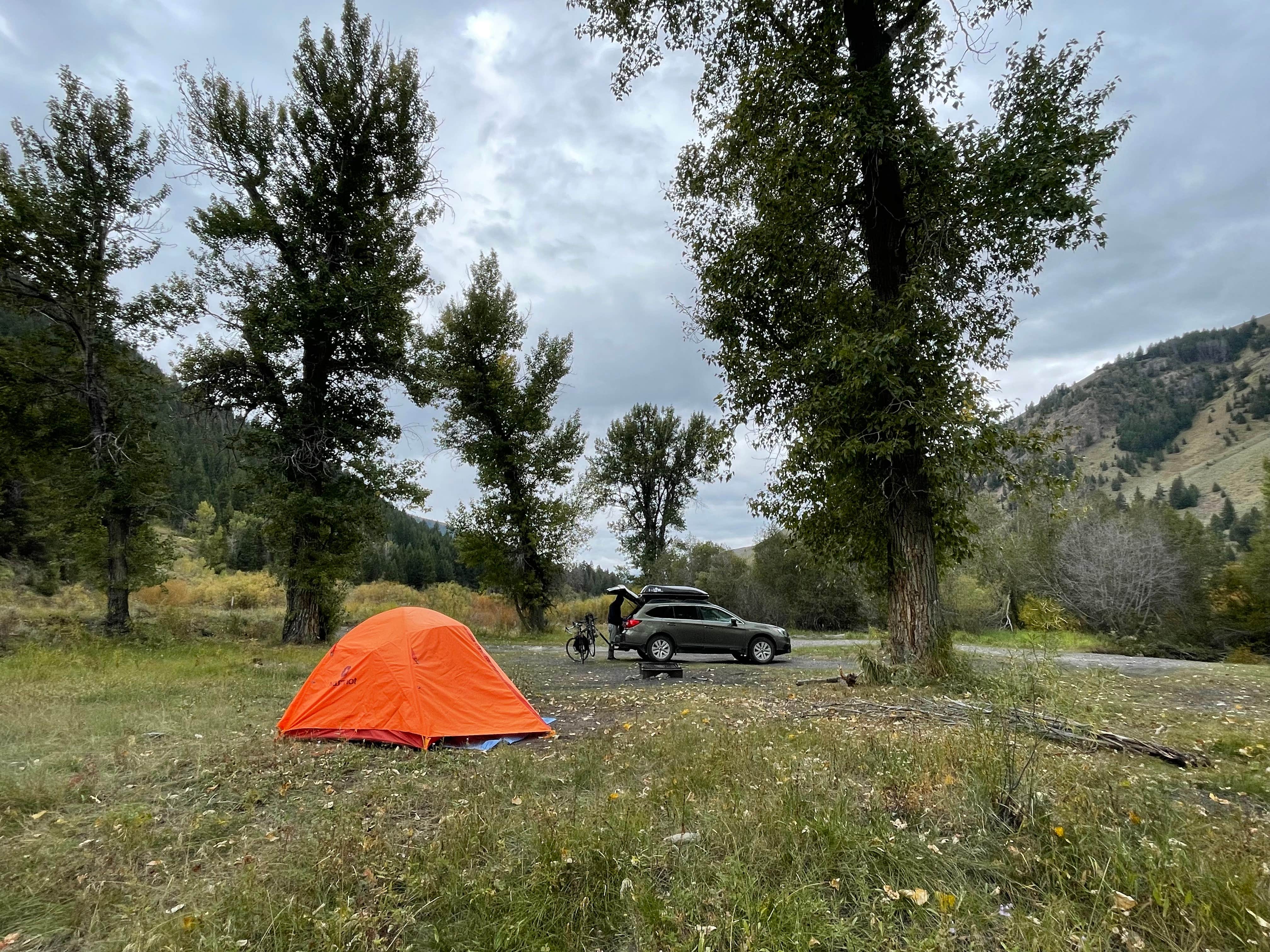 Nicki S.'s photo of a dispersed camping area at Antelope Creek near Corral, ID