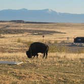 Review photo of Bridger Bay Campground — Antelope Island State Park by Pam & Steve S., October 30, 2023