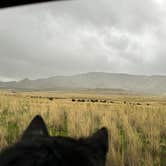 Review photo of Bridger Bay Campground — Antelope Island State Park by Pam & Steve S., October 30, 2023