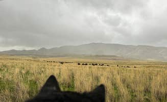 Pam & Steve S.'s photo of camping with pets at Bridger Bay Campground — Antelope Island State Park near Ogden, UT
