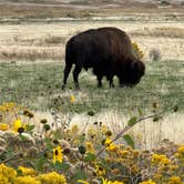 Review photo of Bridger Bay - Antelope Island State Park by Pam & Steve S., October 30, 2023