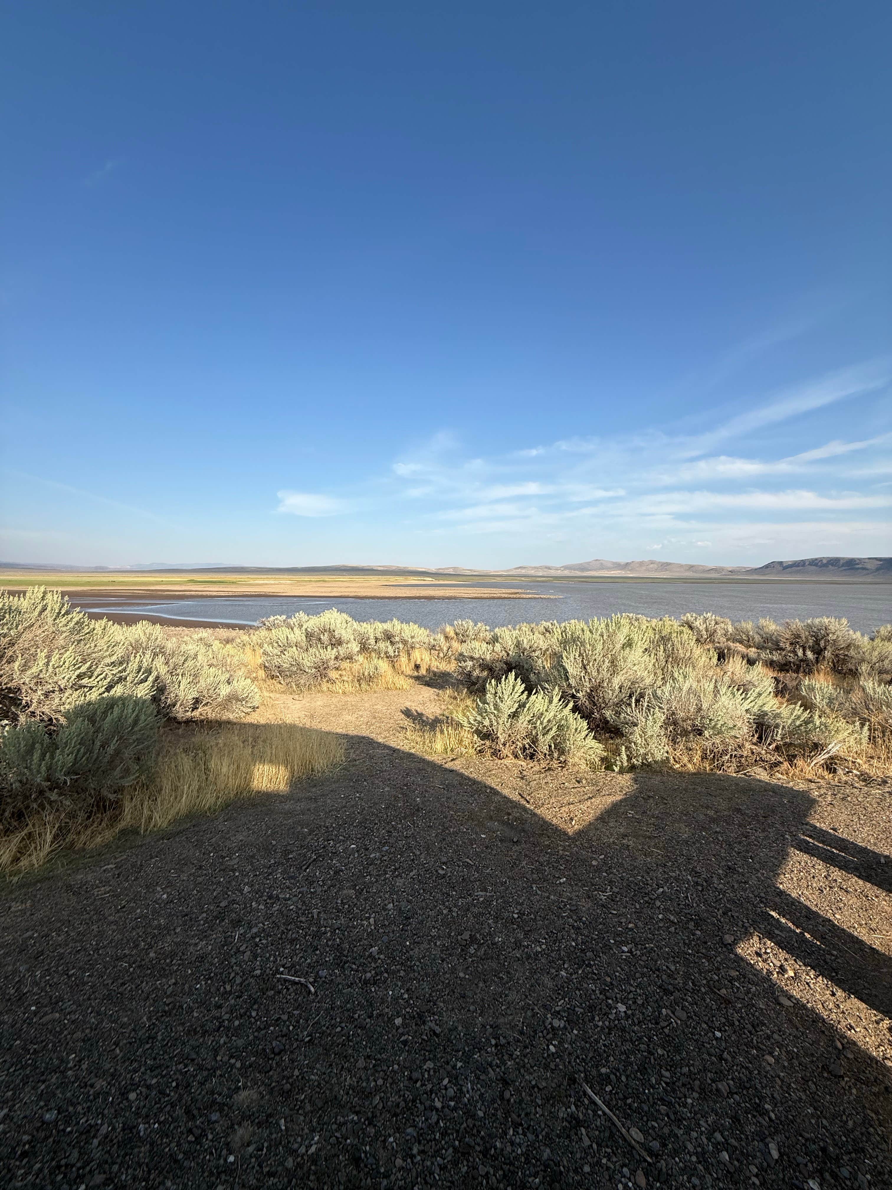 Heather K.'s photo of a dispersed camping area at Antelope Reservoir near Murphy, ID