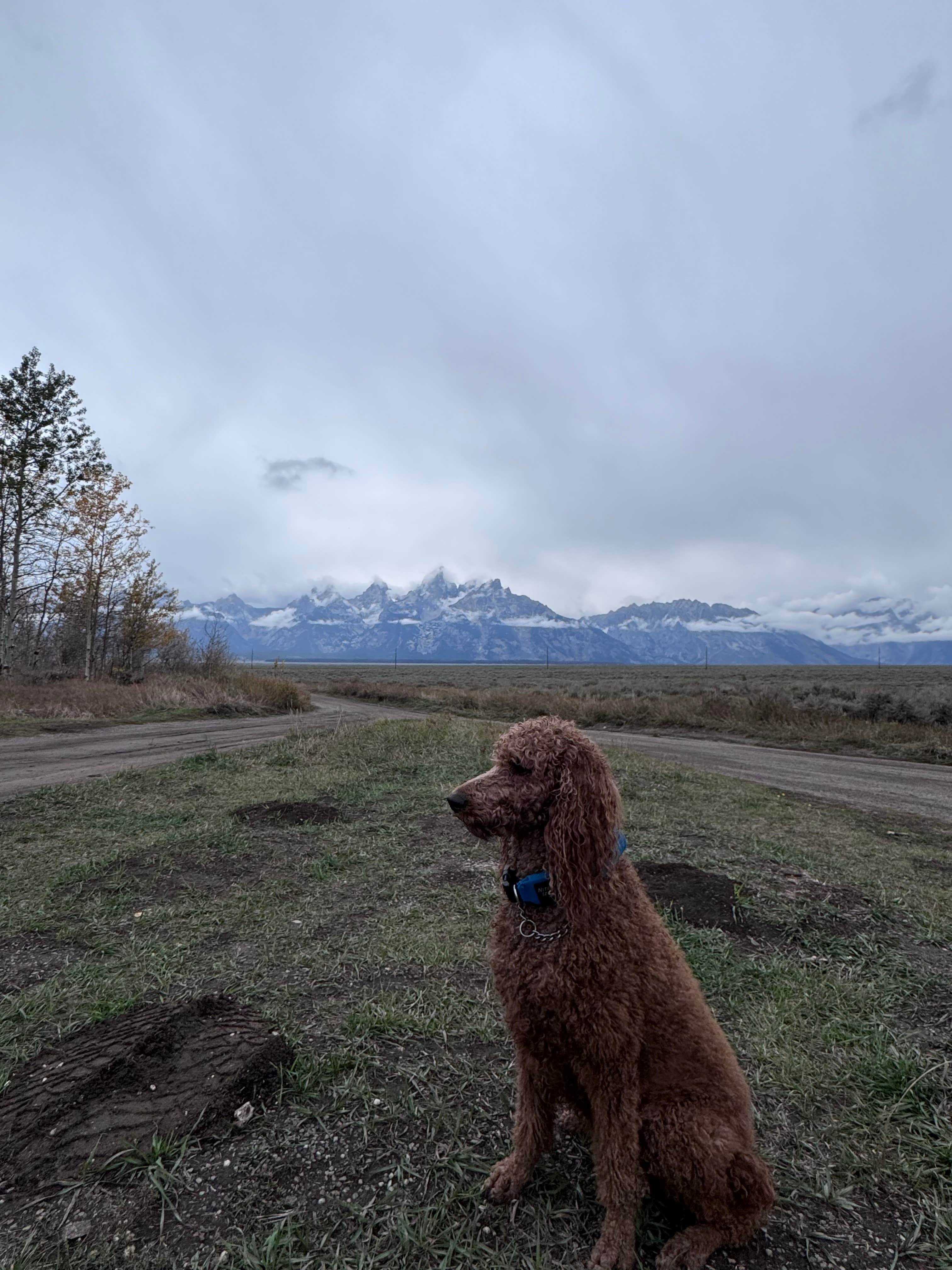 Camper-submitted photo at antelope springs campsites near Teton Village, WY