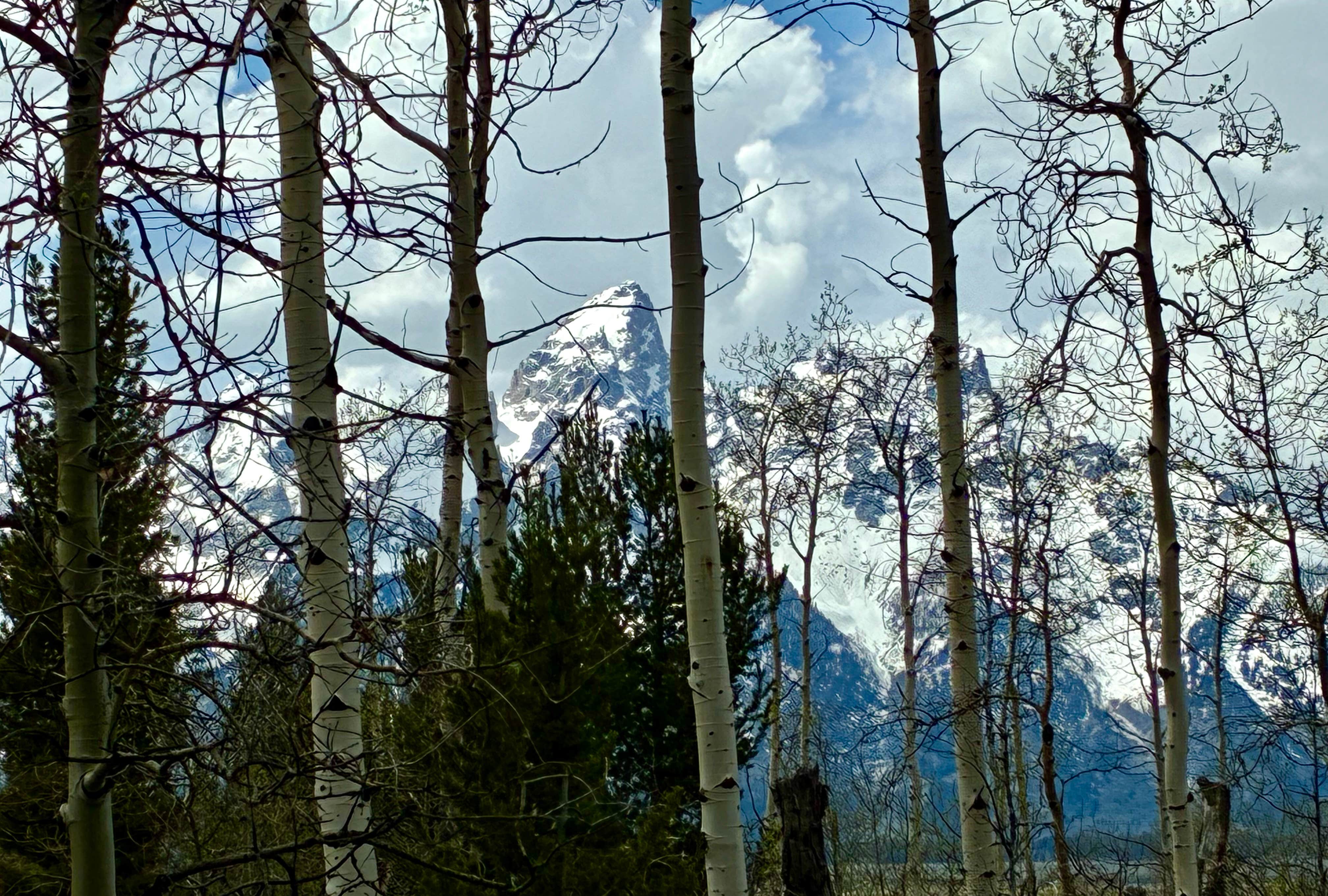 Camping near Lower Paintbrush — Grand Teton National Park: antelope springs campsites, Kelly, Wyoming