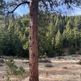 Review photo of Antonito, CO by johny R., April 11, 2026