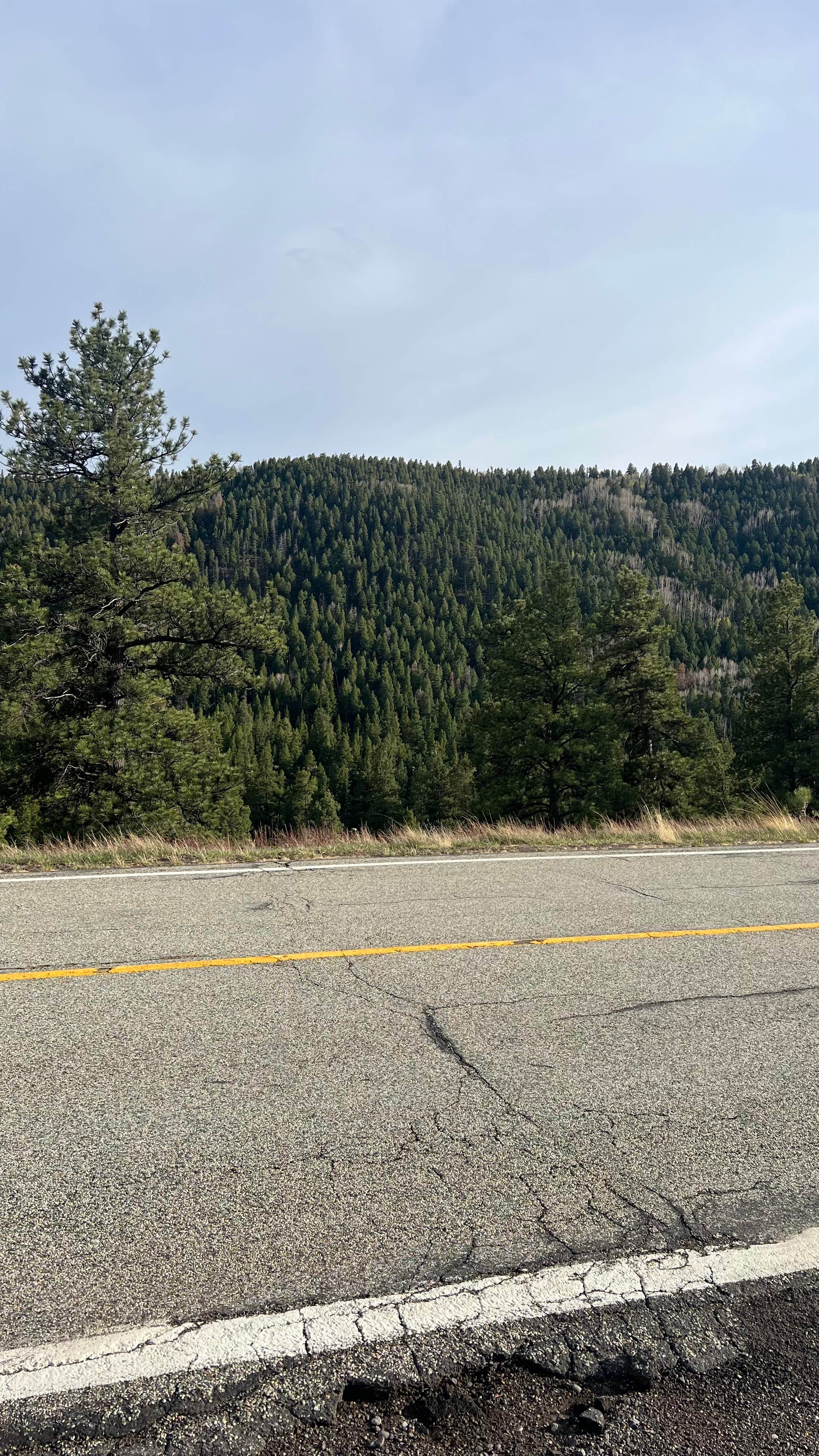 Camper-submitted photo at Antonito, CO near Chama, NM