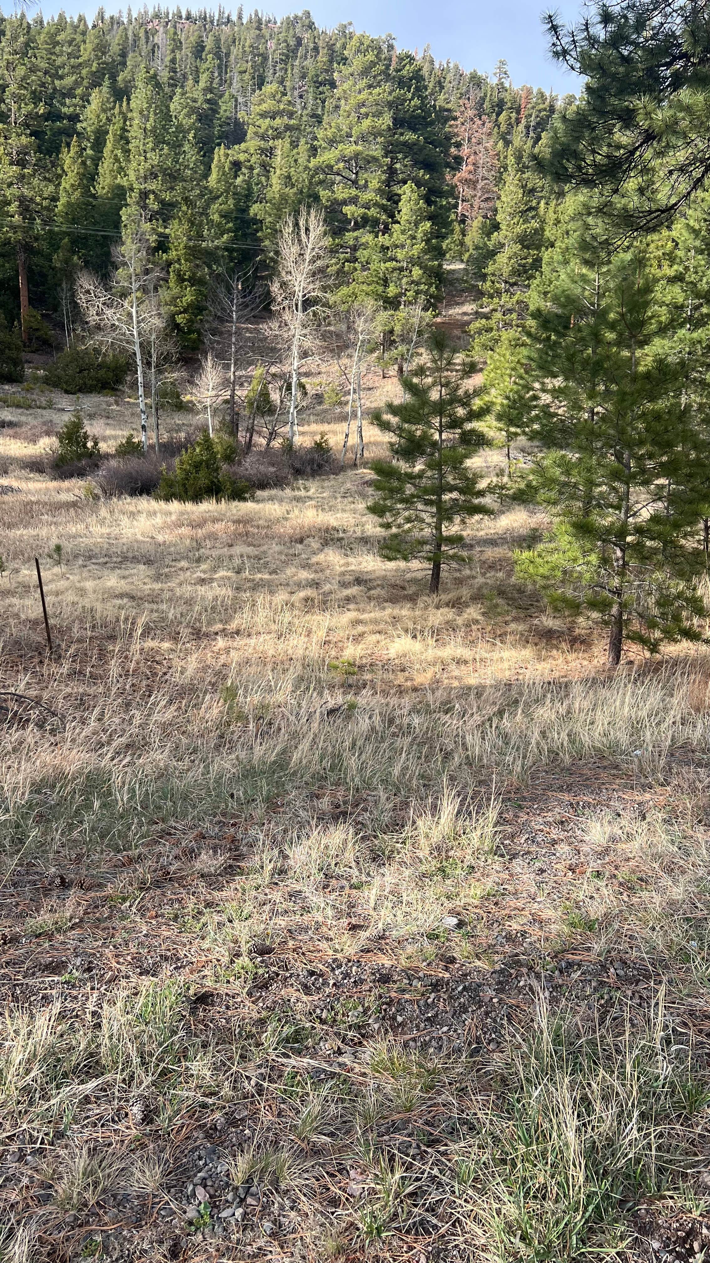 Camping near Rio de los Pinos Campground: Antonito, CO, Antonito, Colorado