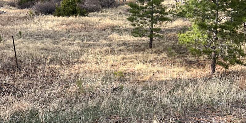 Camper submitted image from Antonito, CO