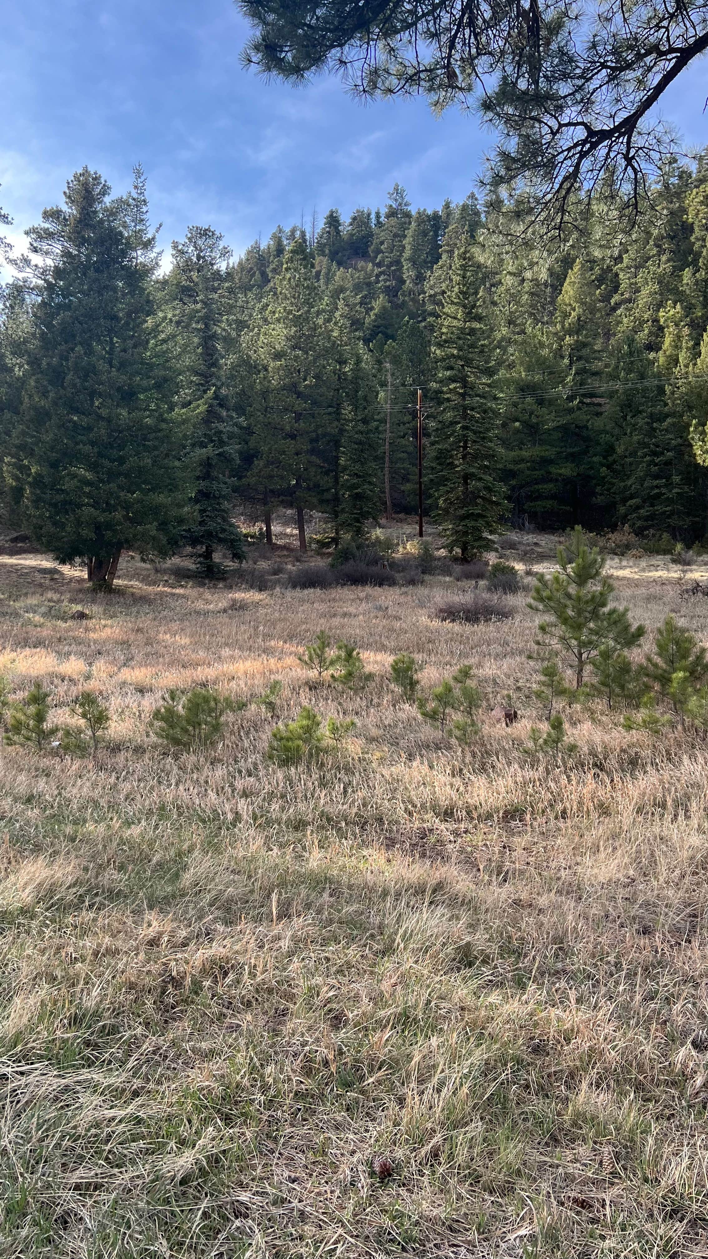 Camper-submitted photo at Antonito, CO near Chama, NM