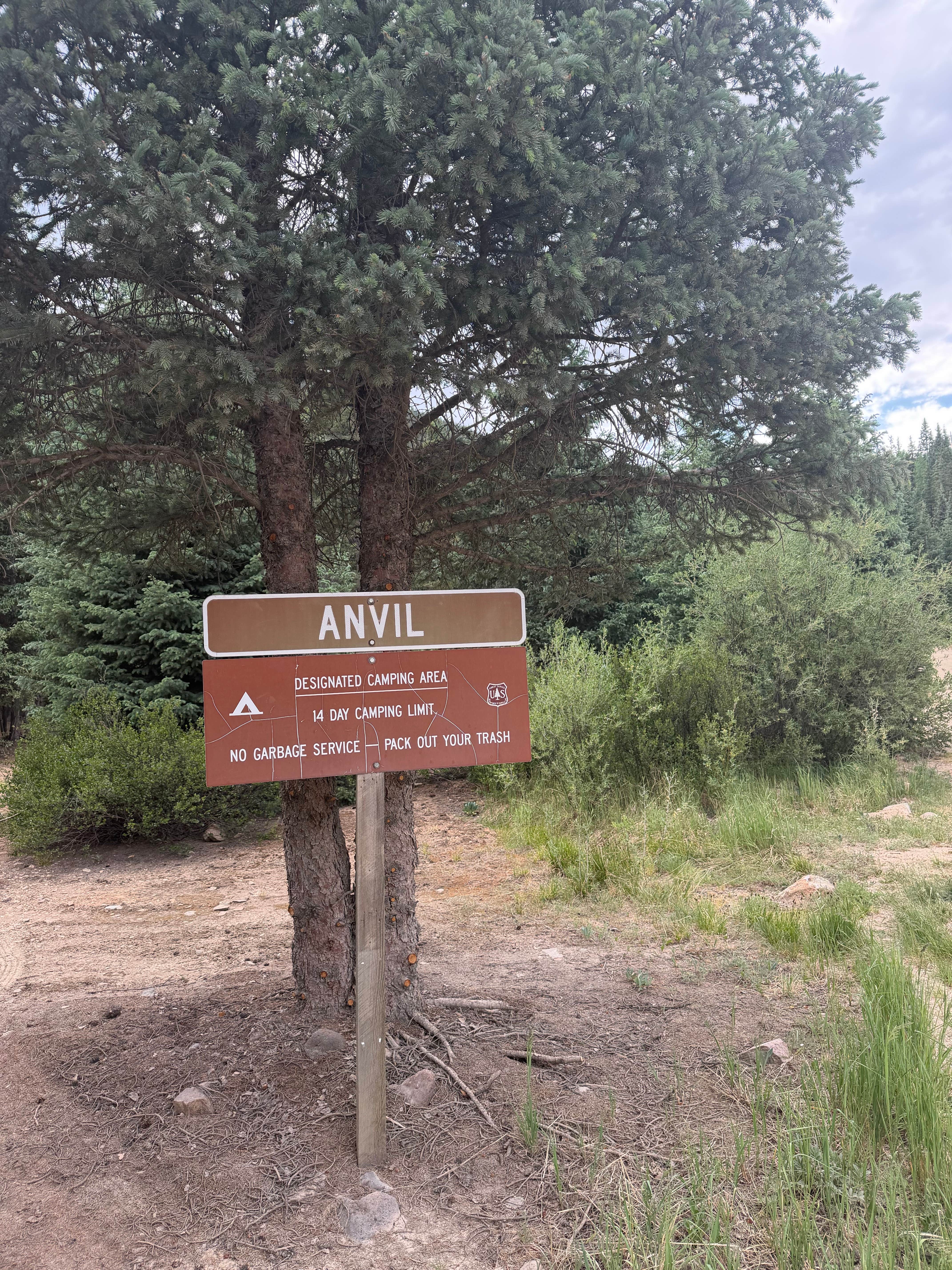 Camper-submitted photo at Anvil Dispersed Campground near Cascade, CO