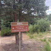 Review photo of Anvil Dispersed Campground by Brandy W., June 20, 2026