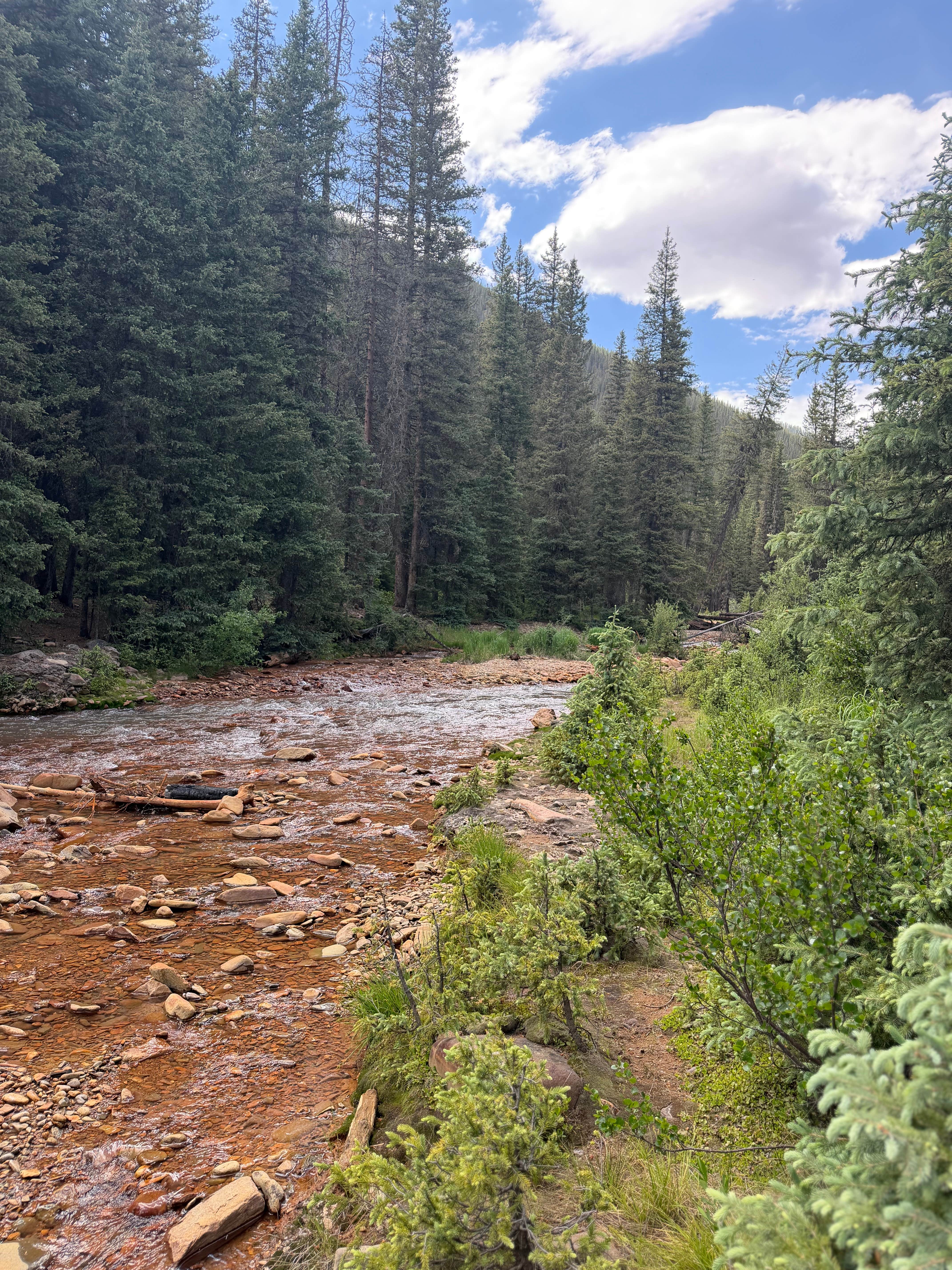 Camper-submitted photo at Anvil Dispersed Campground near Cascade, CO