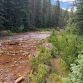 Review photo of Anvil Dispersed Campground by Brandy W., June 20, 2026