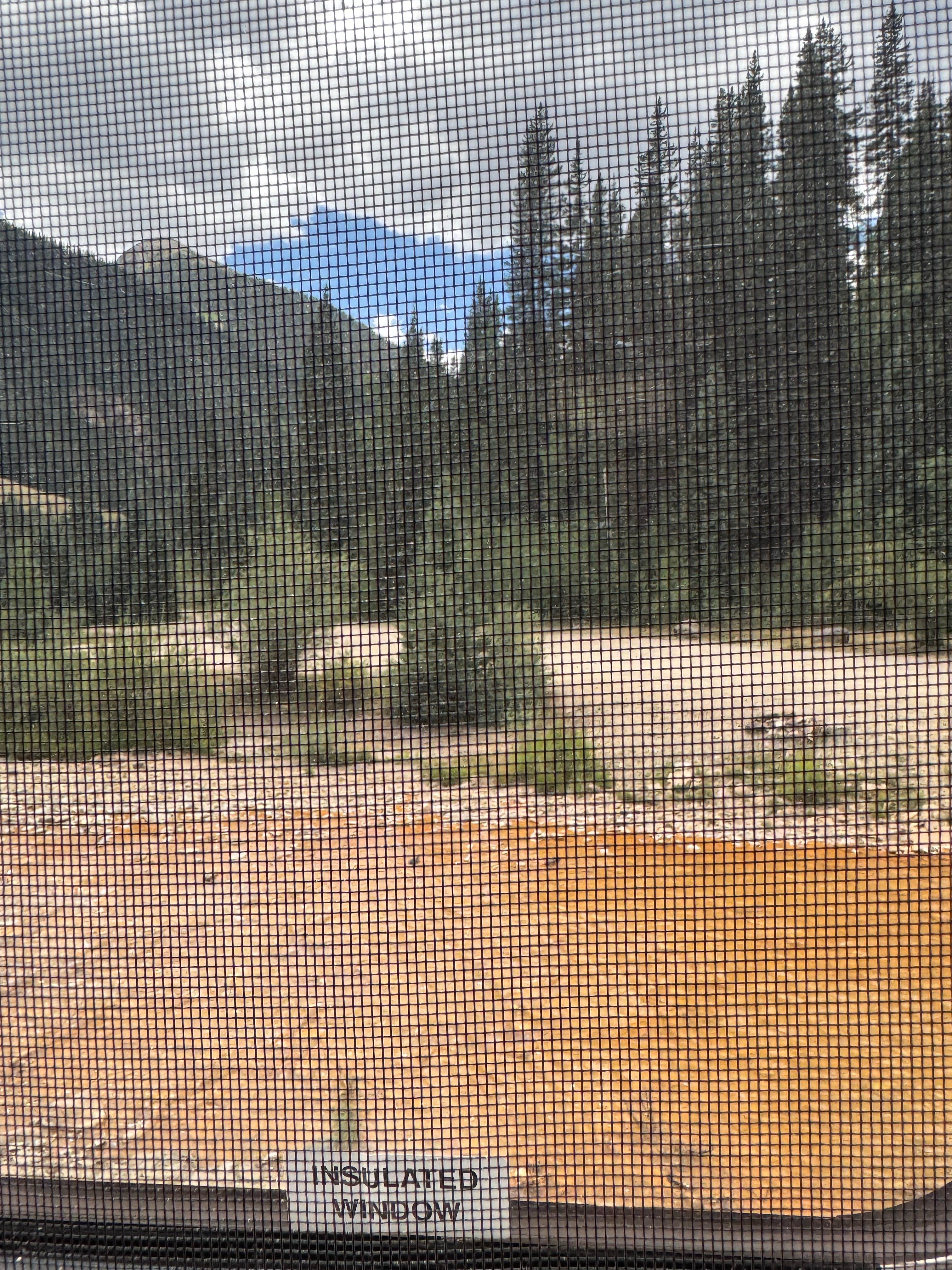 Camper submitted image from Anvil Dispersed Campground - 1