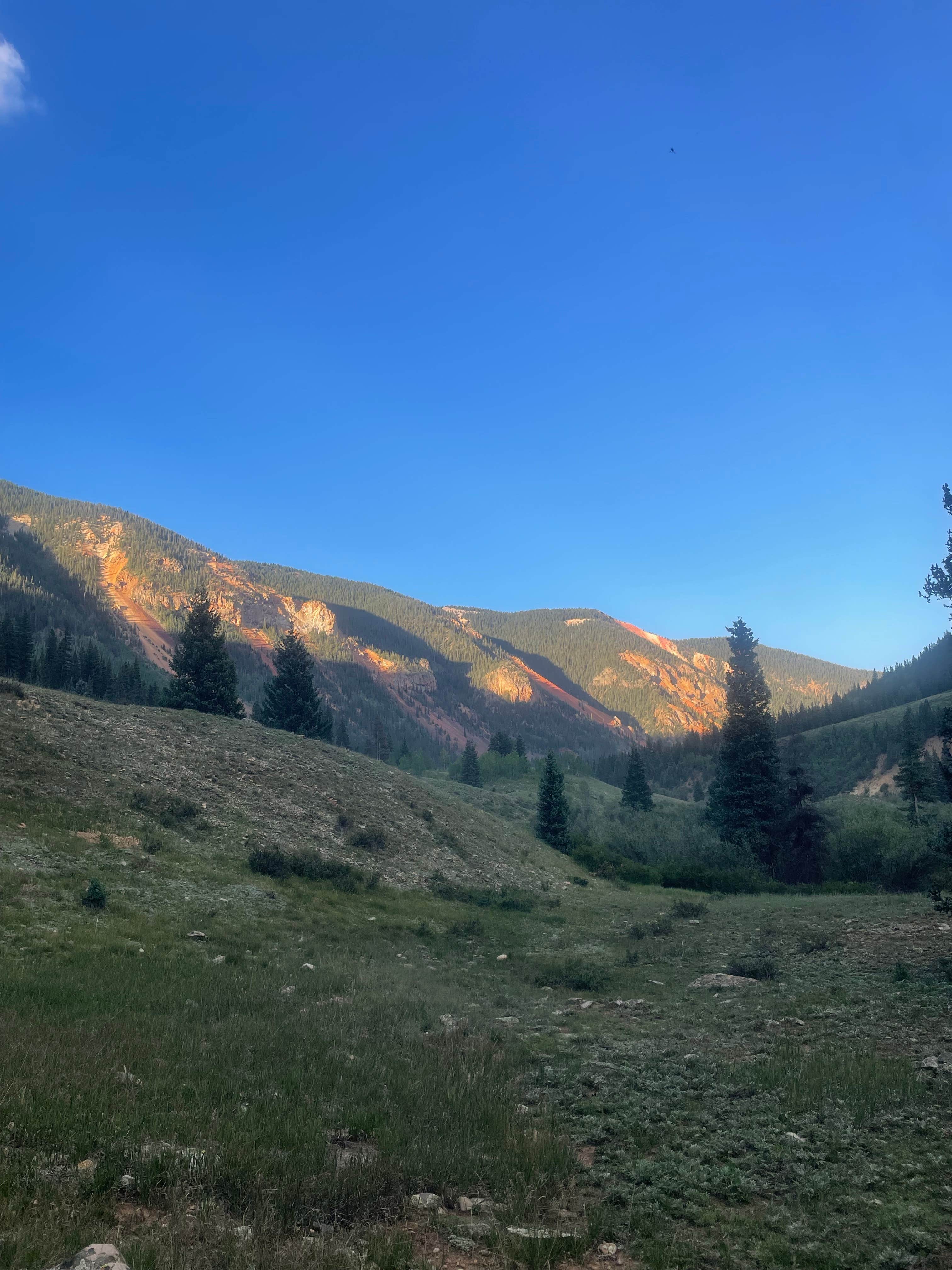 Camper-submitted photo at Anvil Dispersed Campground near San Juan National Forest