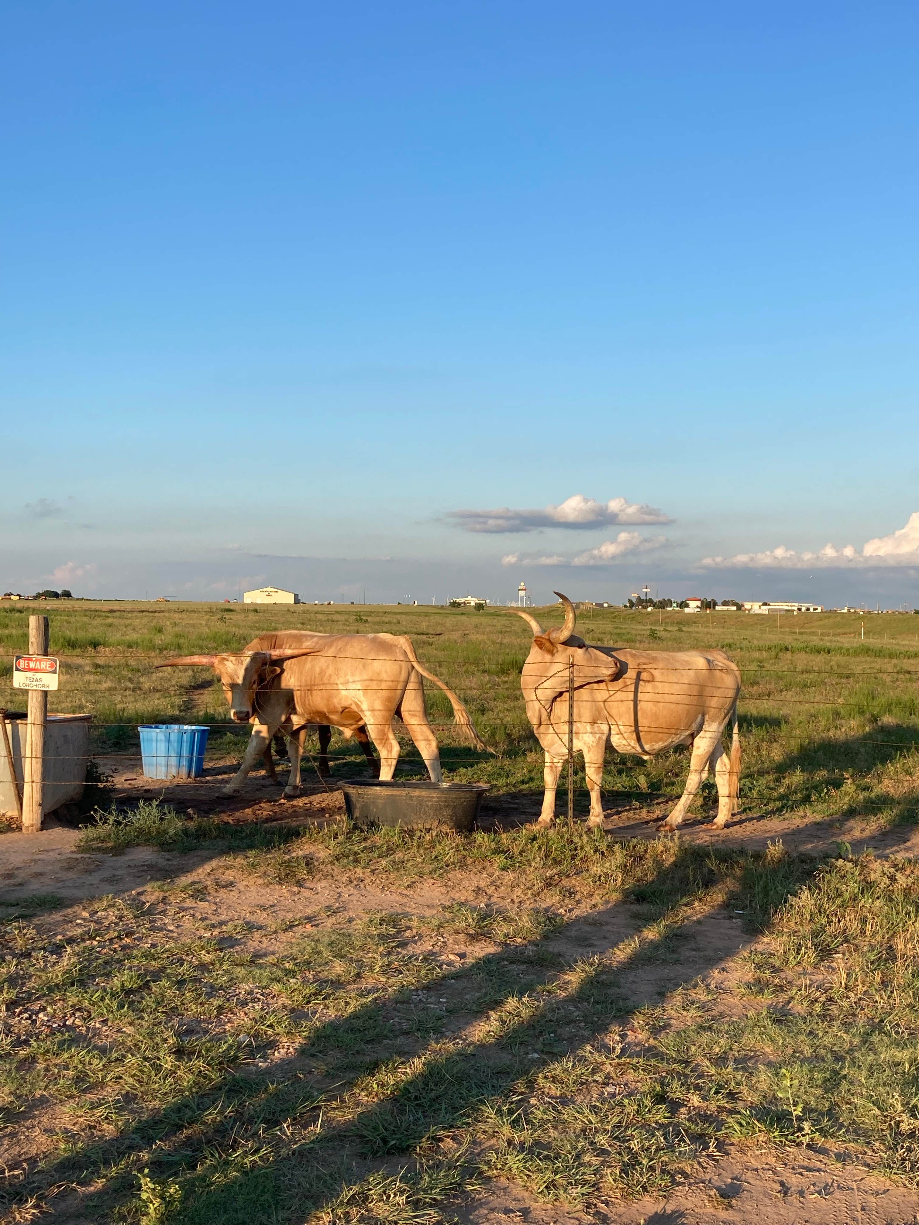 Camper-submitted photo at Aok Camper Park near Amarillo, TX