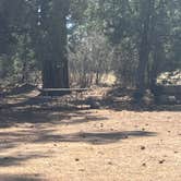 Review photo of Apache Creek Campground by Roger W., June 15, 2024