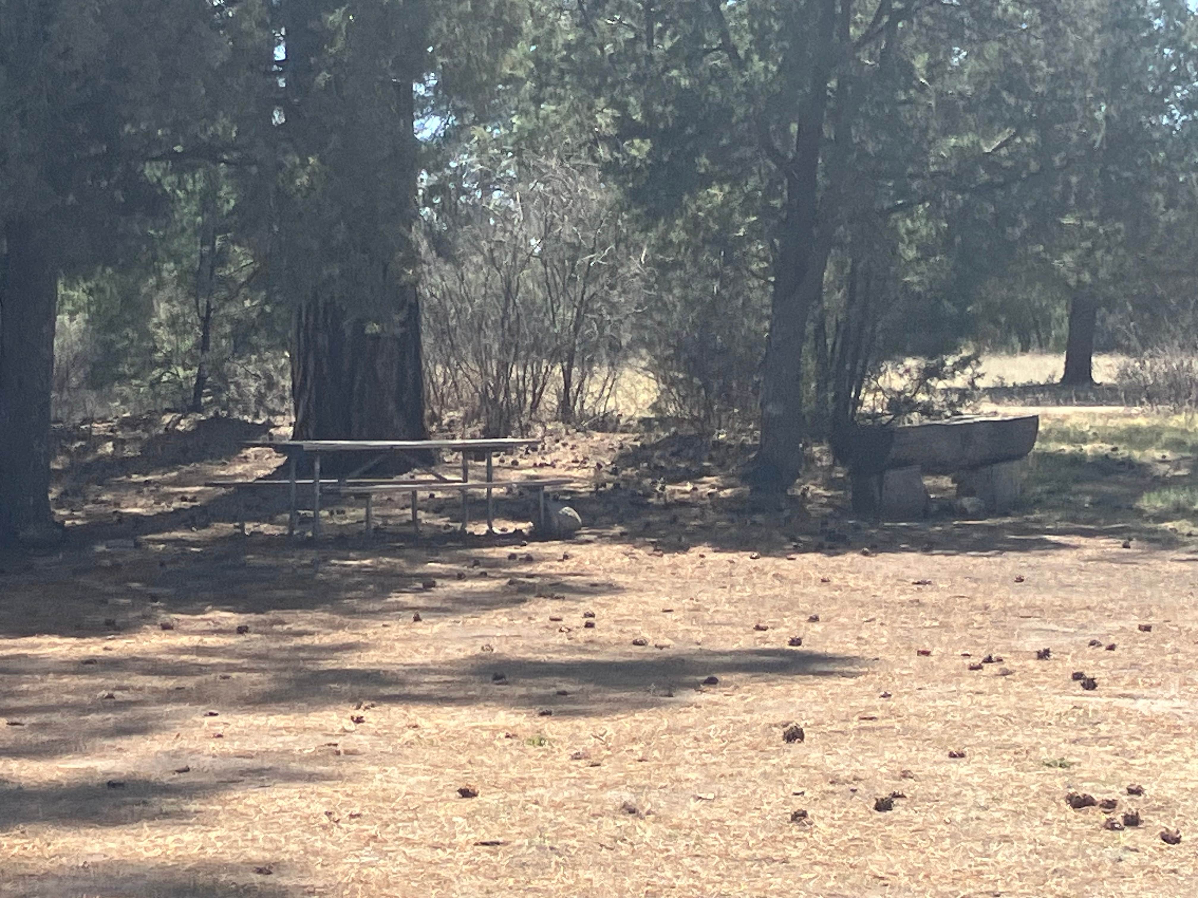 Camper submitted image from Apache Creek Campground - 4